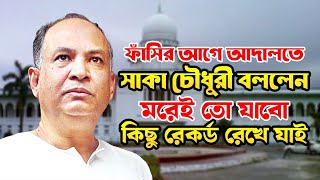 বঙ্গবন্ধুর সুপারিশেই আমাকে বাংলাদেশের পাসপোর্ট দেওয়া হয়েছিল  সাকা চৌধুরী। Saka Chowdhury। [upl. by Yssirk]