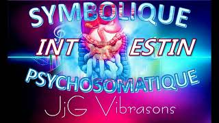 LA SYMBOLIQUE PSYCHOSOMATIQUE DES MAUX DE TON VENTRE [upl. by Lorne951]