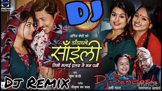 New Nepali LokDohori Dj Remix 2021  डाडा घरे साइली  Timi Malai Pralaya Nai Man Parni Dj Remix [upl. by Thorsten356]