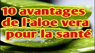 10 avantages de l’aloe vera pour la santé [upl. by Lederer914]