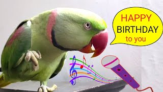 Parrot Singing Happy Birthday Songtalkingparrot [upl. by Aindrea]