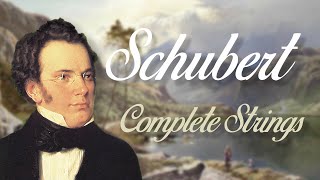 Schubert Complete String Quartets [upl. by Ecidnarb248]