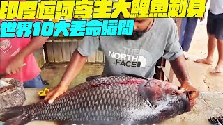 世界10大丟命瞬間！印度恒河寄生大鯉魚刺身？印度美食 街邊小吃 印度小吃搞笑視頻SAIWEN 這味道ZER一下就上來了維基紀錄片 [upl. by Glynn]