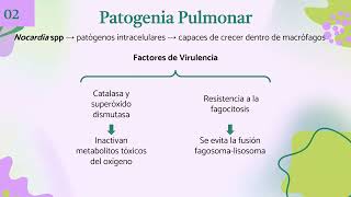 Afectación pulmonar por Nocardia a propósito de un caso [upl. by Daenis]