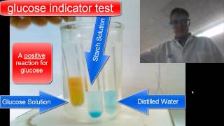 Diffusion Through a Membrane Lab Chemical Indicators [upl. by Hatcher]