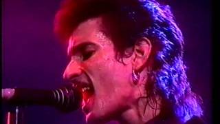 Mink DeVille  You better Move on   Rockpalast Essen 1981 [upl. by Nickolai]