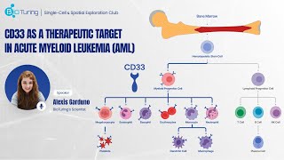 EP7 CD33 AS A THERAPEUTIC TARGET IN ACUTE MYELOID LEUKEMIA AML [upl. by Yllak]