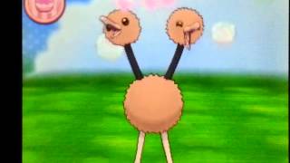 Pokémon Amie 084 Doduo [upl. by Enid]