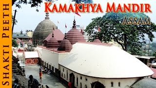 Shakti Peeth  Kamakhya Mandir  Assam  Indian Temple Tours [upl. by Sillaw]