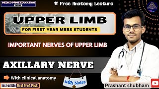 Axillary nerve  Nerves of upper limb  Course Branches amp Supply  Clinical anatomy  nerve damage [upl. by Noman]