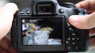 Canon T4i650D Live view options and Focusing Tips [upl. by Ennoirb]