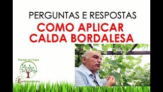 COMO APLICAR CALDA BORDALESA NO POMAR Plantar em Casa [upl. by Aicul]