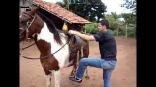 Aprenda a montar cavalo [upl. by Dnamra]