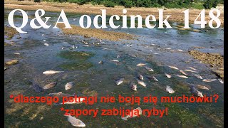 QampA odcinek 148  Dlaczego pstrągi nie boją się muszkarzy Zatrzymywanie wody na zaporach [upl. by Nodnelg]