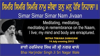 Simar Simar Simar Nam Jivaan By Bhai Harjinder Singh Ji Sri Nagar Wale [upl. by Zohar]