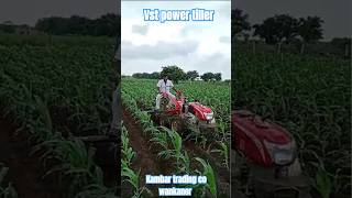 vstpowertiller works in field tiller shorts [upl. by Lindly]