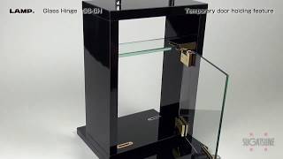 GSGH Glass Door Pivot Hinge for Free Swinging Glass Doors [upl. by Enelegna]