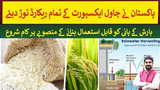 Pakistan breaks all records of rice export  Rich Pakistan [upl. by Eidnam]