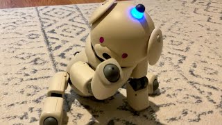 Aibo ERS311 With Jitters [upl. by Retsae]