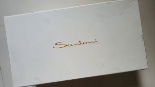 Shoe Unboxing Santoni Monkstrap [upl. by Ilajna375]