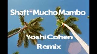 SHAFT Mucho Mambo Yoshi Cohen Remix [upl. by Nowd474]