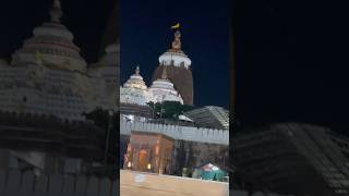 jagannath purijagannathtemple shortsfeed trending vaira shortsfeed jayjagannath 🙏 [upl. by Ysdnil]