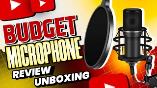 Budget Microphone WR 800 Condenser Mic Review amp Unboxing 2024 [upl. by Eidorb]