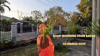 GOOD MORNING FROM BADOC 05 MARCH 2024 HD 1080p [upl. by Akinhoj]