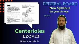 Centerioles  Centerioles structure and function  class 11 [upl. by Congdon]