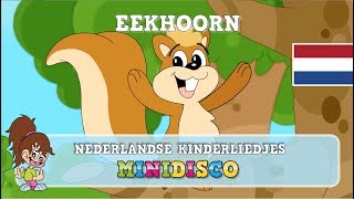 EEKHOORN  Kinderliedjes  Liedjes voor Peuters en Kleuters  Minidisco [upl. by Chappie]