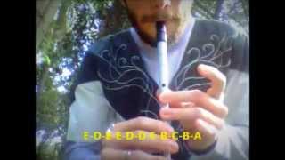 Evenstar  Tin Whistle Tutorial The Lord of the Rings [upl. by Middendorf]