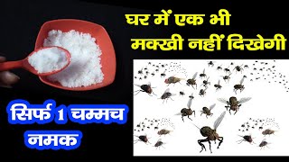 5 मिनट में घर से सारी मक्खियों होगी बाहर इस 100 असरदार घरेलू नुस्खे सेhouse fly removal tips [upl. by Ladd]