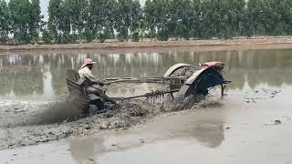 Rice Farming in Thailand  Harrowing The Field [upl. by Attennaej842]