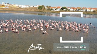 Sessão da Assembleia Municipal da Moita de 19 de abril de 2024 [upl. by Airal]