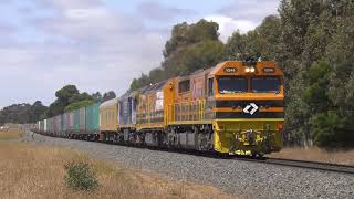 AURIZONS NEW INTERMODAL 81s BACK IN VICTORIA  Western Standard Gauge Action [upl. by Idnym]