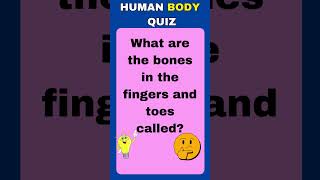 The Human Puzzle How Well Do You Know Your Body Parts QUIZ 1 [upl. by Ayat]