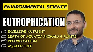 Eutrophication  Environmental science  Aquatic life in danger  EVS  Ecology [upl. by Anibla516]