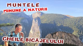 Natura pe munte  Podul suspendat pe Cheile Bicajelului in cheilebicazului cheilebicajelului [upl. by Haimirej]