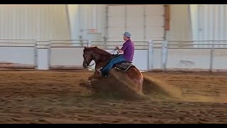 Derby Reining Horse For Sale  Shiner Voodoo Time [upl. by Dnilasor]