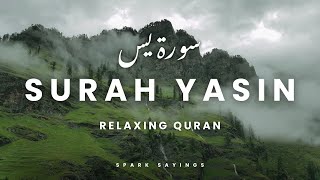 Surah Yaseen Most Beautiful Recitation  Surah Yasin ki Tilawat  Quran for Anxiety  Episode 144 [upl. by Eihcra624]