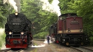 Dampflok 99 7234 Lokschaden in Steinerne Renne  Harzkamel schleppt ab [upl. by Wylde]