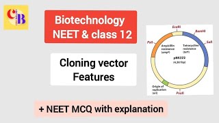 Cloning vector pBR322 Features  Insertional Inactivation Concept  NEET amp Class 12 Biology NCERT [upl. by Vallery244]