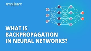 Backpropagation in Neural Networks  Back Propagation Algorithm with Examples  Simplilearn [upl. by Hgielrebma388]