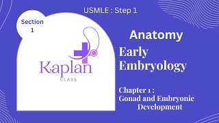 USMLE STEP 1 AnatomyEarly EmberyologyChapter1Gonad and Embryonic Development [upl. by Suhail]