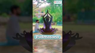 Unbelievable Benefits of Padmasana Yoga You Never Knew Before Yoga Yogalife HealthyLiving Viral [upl. by Munshi]