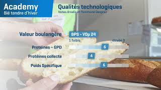 𝗔𝗖𝗔𝗗𝗘𝗠𝗬 🎓 Un Blé Panifiable Supérieur BPS à l’excellent profil maladies [upl. by Harak]