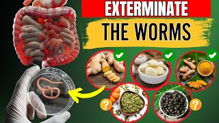 EXTERMINATE The Worms  14 Foods That Destroy Intestinal Parasites NOT WHAT YOU THINK [upl. by Anana]