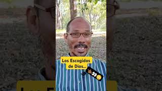 Los escogidos de Dios biblia bible biblestudy desobediência [upl. by Yelkrab577]