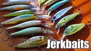 2019 Jerkbait Box Megabass Lucky Craft Duo Realis Rapala Ima and more [upl. by Anatollo]