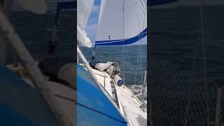 Sailing fypシ゚viral sea sailing boat summer fy [upl. by Katrine440]